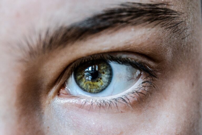 eye, green, eyelashes, eyebrow, eyelid, vision, focus, retina, iris, pupil, human eye, green eye, close up, human, face, girl, woman, look, skin, eye, eye, eye, eye, eye, eyebrow, focus, human eye-6186141.jpg